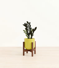 Load image into Gallery viewer, Key Lime Yellow stand:walnut