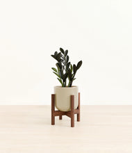 Load image into Gallery viewer, Sage Green stand:walnut