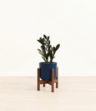 Load image into Gallery viewer, Twilight Blue stand:walnut