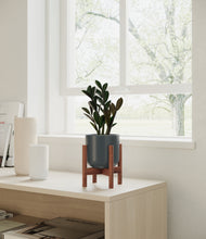 Load image into Gallery viewer, Iron Gray stand:walnut