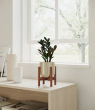 Load image into Gallery viewer, Sage Green stand:walnut