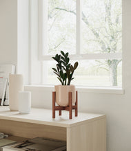 Load image into Gallery viewer, Glossy Pink stand:walnut