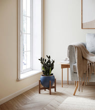 Load image into Gallery viewer, Deep Navy stand:walnut