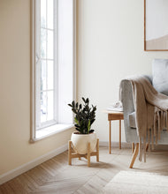 Load image into Gallery viewer, Shiny EggWhite stand:bamboo