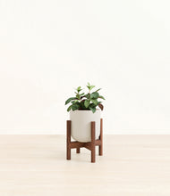 Load image into Gallery viewer, Natural Bamboo stand:walnut