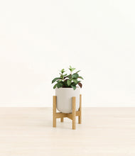 Load image into Gallery viewer, Natural Bamboo stand:bamboo