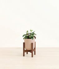 Load image into Gallery viewer, Sandy Pink stand:walnut