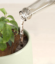 Load image into Gallery viewer, Turquoise stand:all