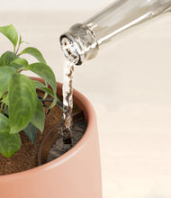 Load image into Gallery viewer, Calm Rose stand:all