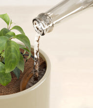 Load image into Gallery viewer, Sage Green stand:all