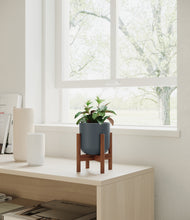 Load image into Gallery viewer, Iron Gray stand:walnut