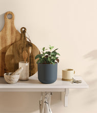 Load image into Gallery viewer, Iron Gray