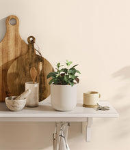 Load image into Gallery viewer, Natural Bamboo