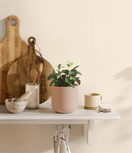 Load image into Gallery viewer, Sandy Pink