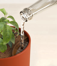 Load image into Gallery viewer, Earth Red stand:all