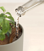 Load image into Gallery viewer, Sage Green stand:all