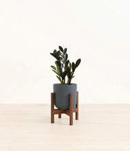 Load image into Gallery viewer, Iron Gray stand:walnut