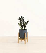 Load image into Gallery viewer, Iron Gray stand:bamboo
