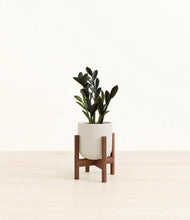 Load image into Gallery viewer, Natural Bamboo stand:walnut