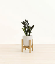Load image into Gallery viewer, Natural Bamboo stand:bamboo