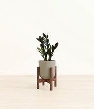 Load image into Gallery viewer, Sage Green stand:walnut