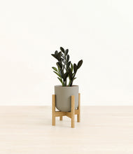 Load image into Gallery viewer, Sage Green stand:bamboo