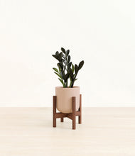 Load image into Gallery viewer, Sandy Pink stand:walnut
