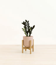 Load image into Gallery viewer, Sandy Pink stand:bamboo