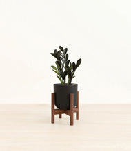 Load image into Gallery viewer, Stone Black stand:walnut