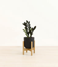 Load image into Gallery viewer, Stone Black stand:bamboo