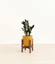 Load image into Gallery viewer, Sunset Orange stand:walnut