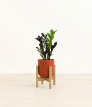 Load image into Gallery viewer, Earth Red stand:bamboo