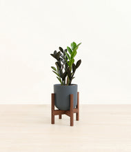 Load image into Gallery viewer, Iron Gray stand:walnut