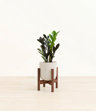 Load image into Gallery viewer, Natural Bamboo stand:walnut