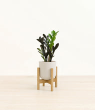 Load image into Gallery viewer, Natural Bamboo stand:bamboo
