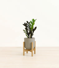 Load image into Gallery viewer, Sage Green stand:bamboo