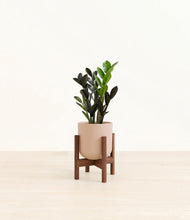 Load image into Gallery viewer, Sandy Pink stand:walnut