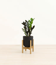Load image into Gallery viewer, Stone Black stand:bamboo