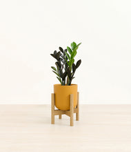 Load image into Gallery viewer, Sunset Orange stand:bamboo