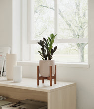Load image into Gallery viewer, Eternal Gray stand:walnut