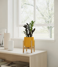 Load image into Gallery viewer, Mustard stand:bamboo