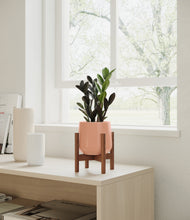 Load image into Gallery viewer, Calm Rose stand:walnut