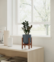 Load image into Gallery viewer, Iron Gray stand:walnut