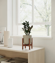 Load image into Gallery viewer, Sage Green stand:walnut