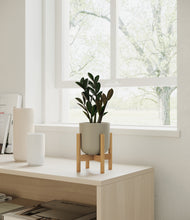 Load image into Gallery viewer, Sage Green stand:bamboo