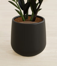 Load image into Gallery viewer, Black stand:all