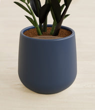 Load image into Gallery viewer, Black stand:all