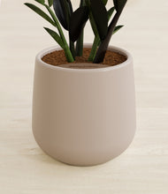 Load image into Gallery viewer, Eternal Gray stand:all