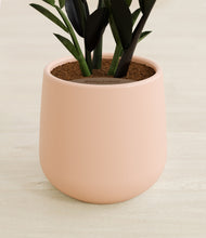 Load image into Gallery viewer, Gentle Pink stand:all