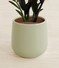 Load image into Gallery viewer, Turquoise stand:all